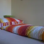 鲁塔80旅馆 *
